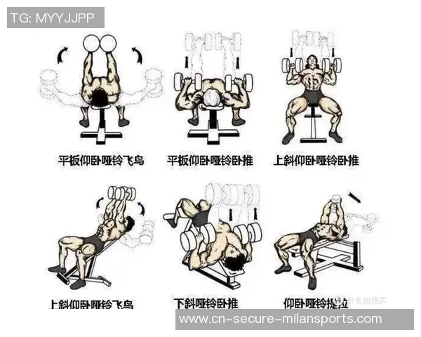 站立姿势如何有效使用哑铃锻炼胸肌提升力量与线条的技巧分享
